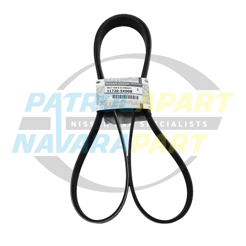 Genuine Nissan Navara D40 Spanish YD25 Serpentine Belt Post 2010