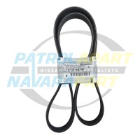 Genuine Nissan Serpentine Belt - Nissan Navara D40 YD25 Pre 2010