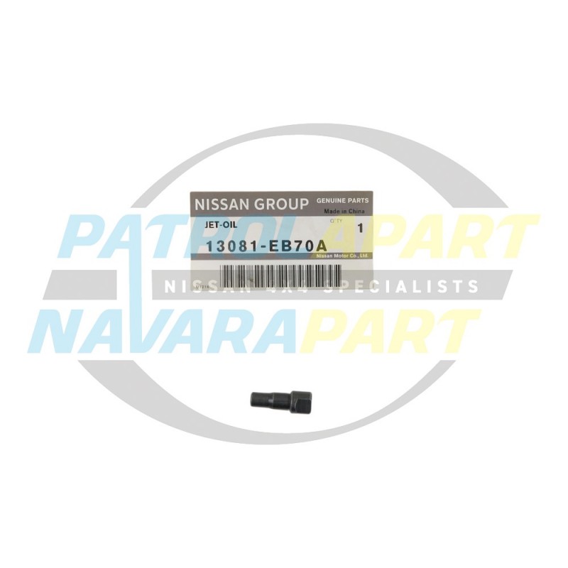 Genuine Nissan Navara D40 VSK D22 YD25 140kw Timing Chain Oil Squirter