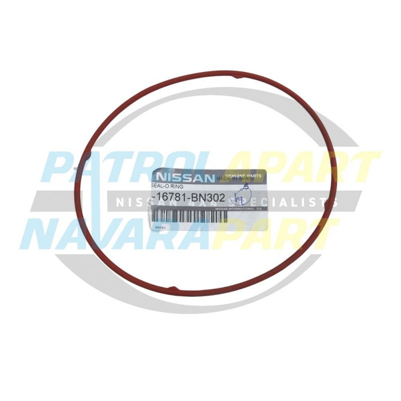 Genuine Nissan Injector Pump O-Ring - Nissan Navara D22 D40 YD25 - Nissan Pathfinder R51