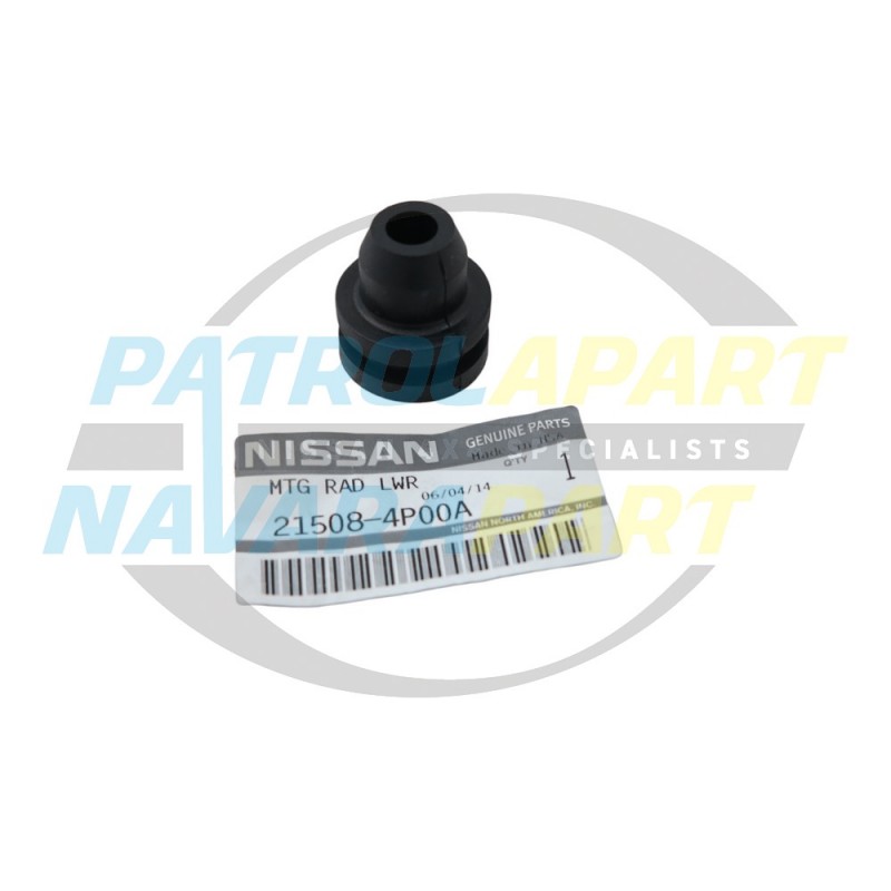 Genuine Nissan Navara D22/D40 Radiator Mounting Rubber Lower