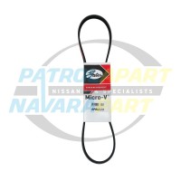 Power Steer Belt - Nissan Navara D40 Thai Spanish YD25 R51