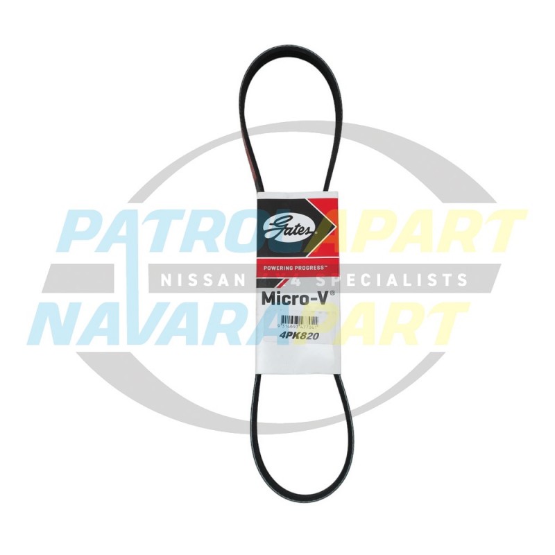 Gates Power Steer Belt suits Nissan Navara D40 Thai Spanish YD25 R51