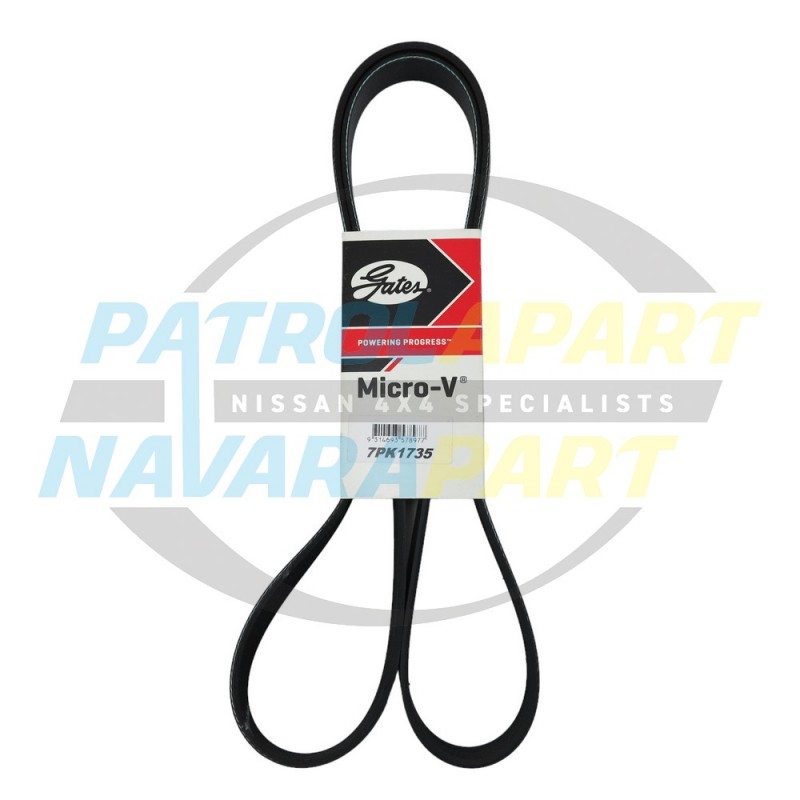 Serpentine Belt for Nissan Navara D40 Spanish VSK YD25 Post 2010