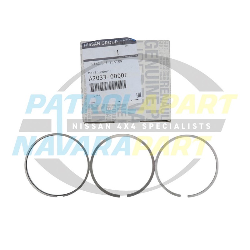 Genuine Nissan Navara NP300 M9T Piston Ring Set