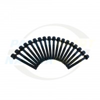 Cylinder Head Bolt Set - Nissan Navara YD25